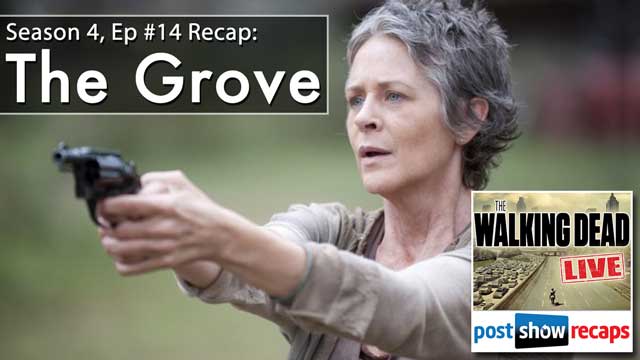 The Walking Dead Season 4 Episode 14 Recap: A Review of THE GROVE