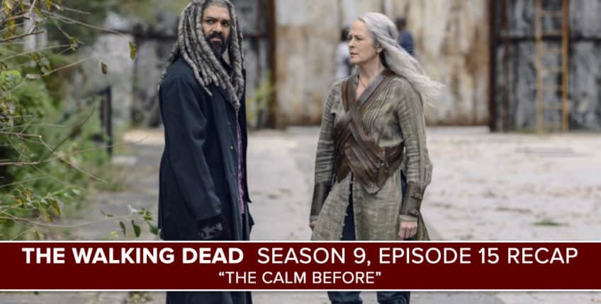The Walking Dead | Season 9, Episode 15 Recap: “The Calm Before